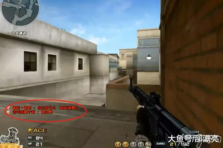 EDG主教练长文感言：冰岛有属于我们的奖杯